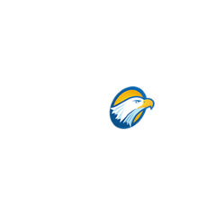 Metro TV