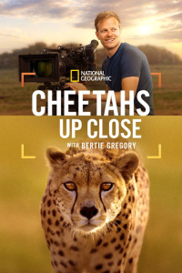 Cheetahs Up Close Bertie Gregory (2026)