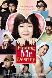 Finding Mr Destiny (2010)