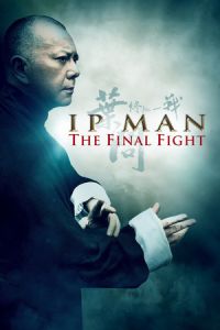 Ip Man Final Fight (2013)