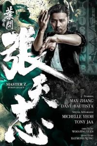 Master Z Ip Man Legacy Ye Wen Wai Zhuan Zhang Tian Zhi (2018)
