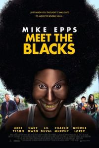 Meet Blacks (2016)