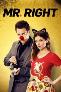Mr Right (2015)