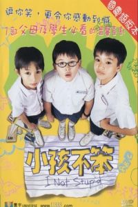 Not Stupid (2002)