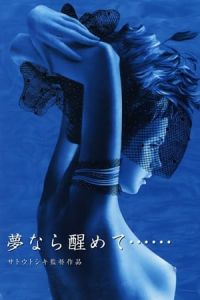 Perfect Blue Yume Nara Samete (2002)