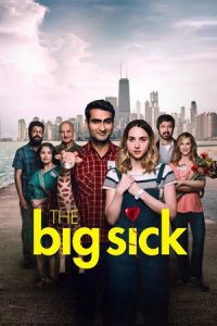 Big Sick (2017)
