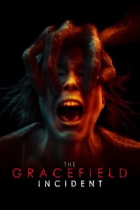 Gracefield Incident (2017)