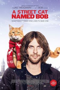 Street Cat Named Bob (2016)