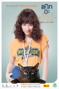 Cat Wabb (2015)