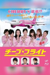Cheap Flight (2013)