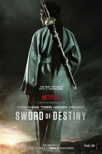 Crouching Tiger Hidden Dragon Sword Destiny (2016)