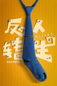 Fan Zhuan Ren Sheng (2017)