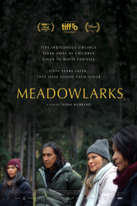 Meadowlarks (2025)