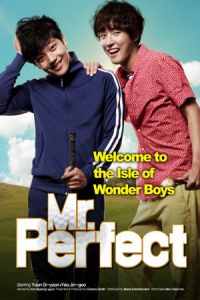 Mr Perfect (2014)