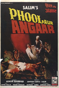 Phool Aur Angaar (1993)