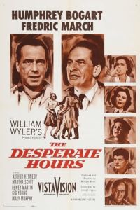 The Desperate Hours (1955)