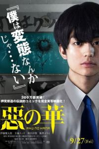 The Flowers Of Evil (2019)
