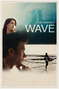 Perfect Wave (2014)