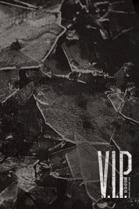 V P (2017)