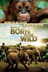 Born Wild (2011)