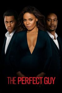 Perfect Guy (2015)