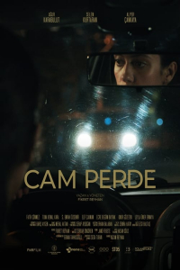 Glass Curtain Cam Perde (2023)