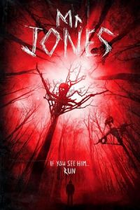 Mr Jones (2013)