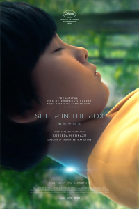 Sheep Box