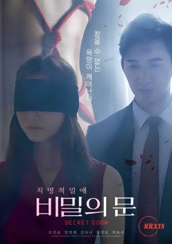 Poster Secret Door (2025)