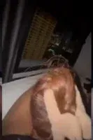 Buka Jendela Pemandangan Apart Sambil Ngulek Kamu