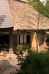 Teman cowoknya ngajak main ke sungai