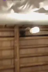 Video Chindo Binal Teriak Hot Di Villa Bambu KingBokep